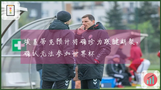 埃基蒂克预计将确诊为跟腱断裂，确认无法参加世界杯